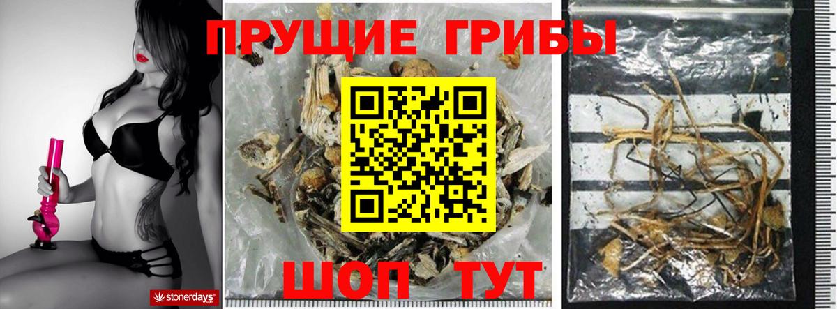 Лесозаводск  Псилоцибиновые грибы Magic Shrooms  Вход с VPN 
